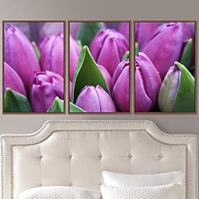 signwin 3 Piece Framed Canvas Wall Art Colorful...