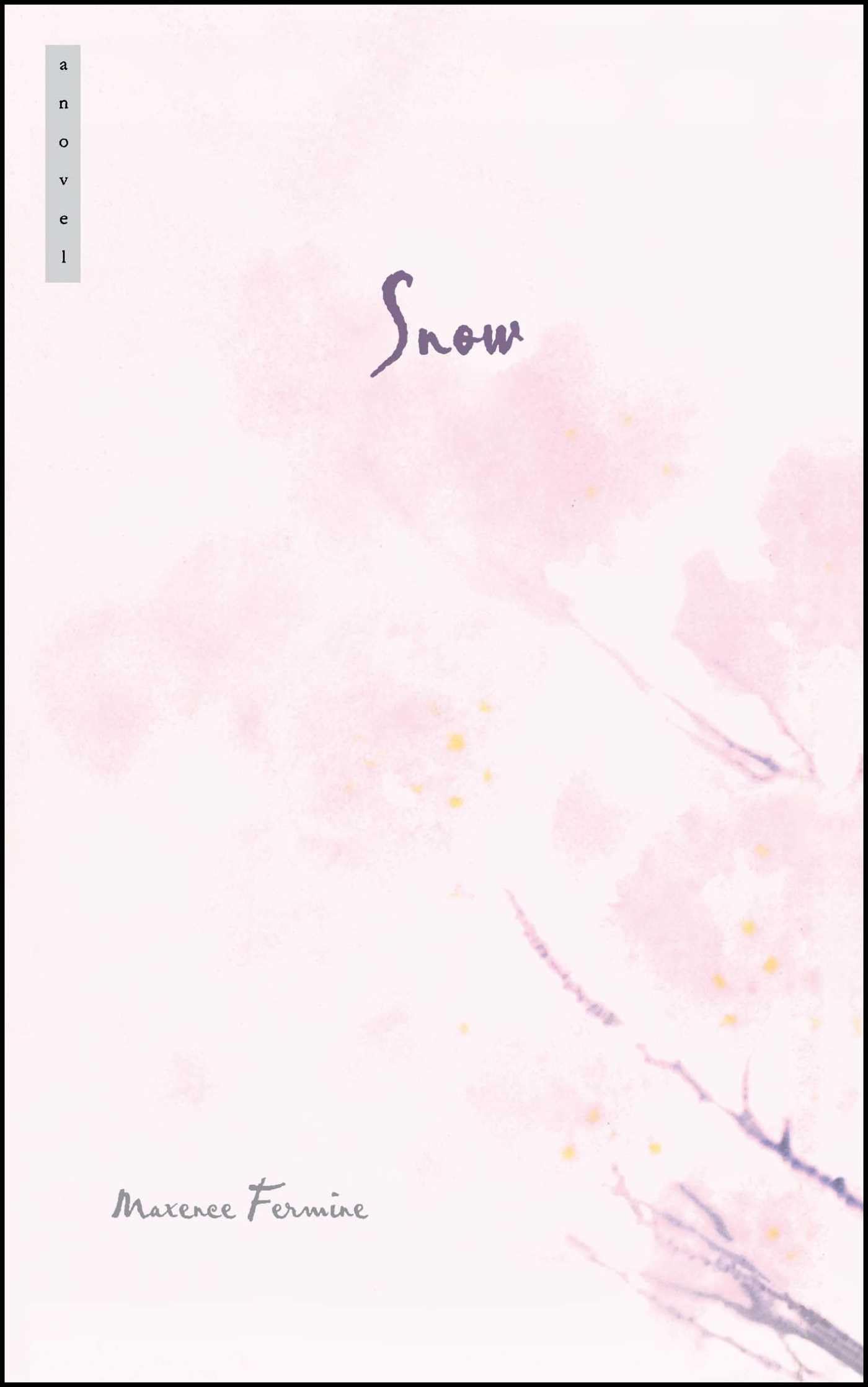 Snow: A Novel