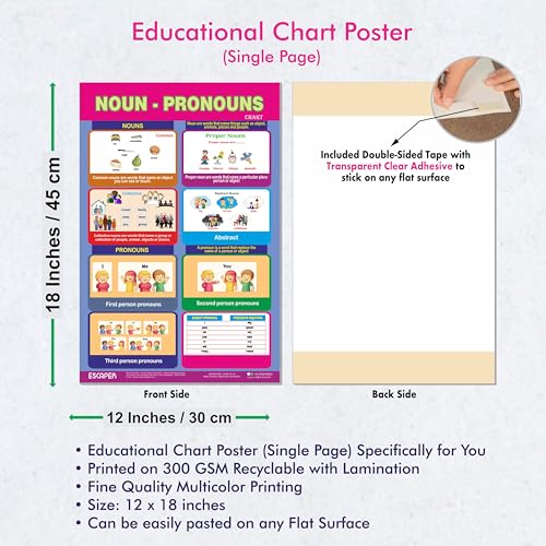 Image of ESCAPER Noun-Pronoun Educational Learning Charts, (11.5 x 17.5 inches), 300 GSM Paper, Laminated Self Adhesive Back, Kids Study Material, Perfect For Home Schooling, Nursery Students