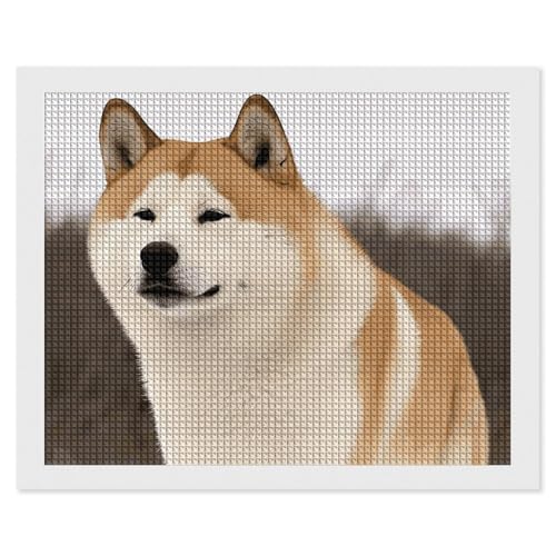 Peinture diamant 5D Akita kit complet anti stress pour adultes