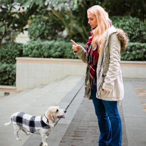 Papierschnittmuster Allwettermantel Hunde