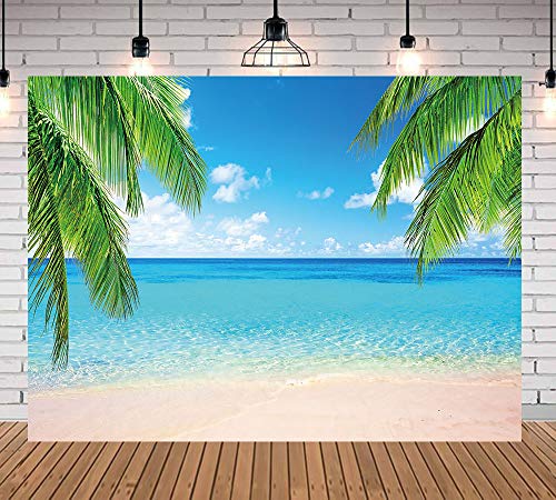 Fondo Fotográfico 5x3 FT Vinilo Thin Vinyl Varios Colores miniatura 2