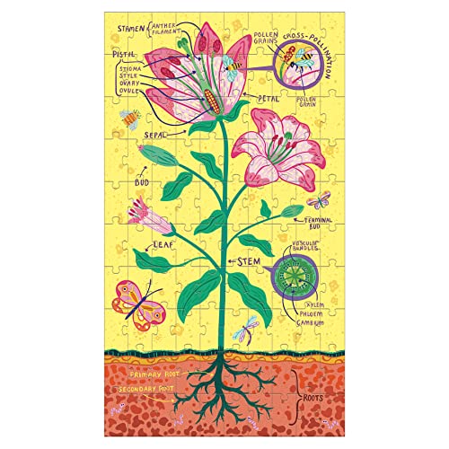 Set de Rompecabezas Científicos de Anatomía de Plantas de Mudpuppy - Incluye Tres Rompecabezas de 100 Piezas con Ilustraciones Coloridas, Edades 6+ miniatura 4