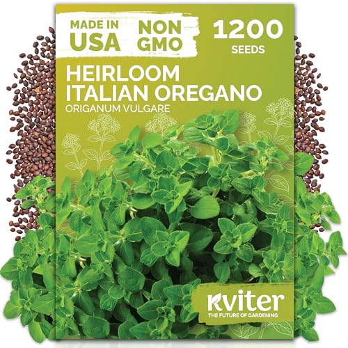 KVITER 1200 Italian Oregano Seeds for Planting (Origanum vulgare) - Majoram Perennial Pizza Herb Spicy Flavor Perfect Fresh & Dried - Non GMO & Heirloom Herb Seeds for Outdoor & Indoor Garden Pots