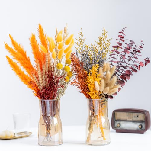 12 Kind Dried Flowers Set - Fall Decor Preserve Flowers Kit