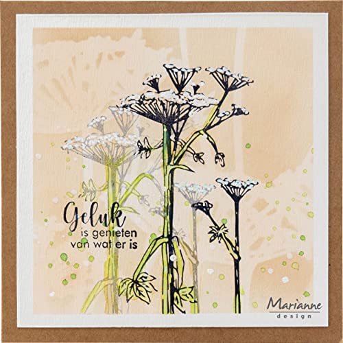 Marianne Design Clear, Tiny's Border-Hemlock, for Stamping Cardmaking Arts and Crafts One Size