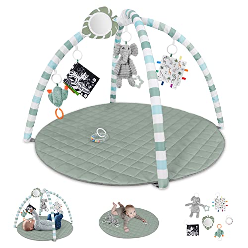 Find The Best Tummy Time Play Mat Reviews & Comparison Katynel