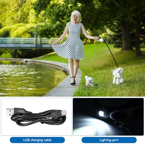 Viitech Hundeleine 5m, 360° Verknotungsfreier Flexi Leine mit LED-Licht, Rollleinen für Hunde Einziehbares Zugseil mit Rutschfestem Griff für mittelgroße große Hunde bis zu 30 kg (Blanco)