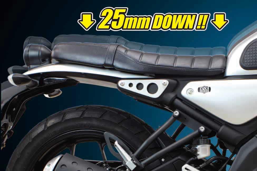 Amazon | スペシャルパーツ武川(TAKEGAWA) ローダウンリンク YZF-R15