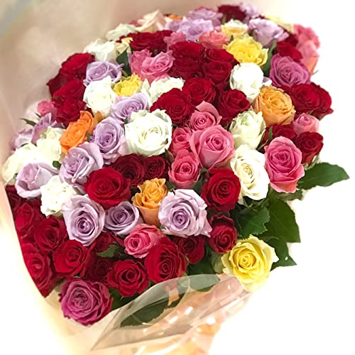 BisesFlower(rYt[)yN[֏oׁzyԑo70{zÊ Êj a 70 (C~bNX)