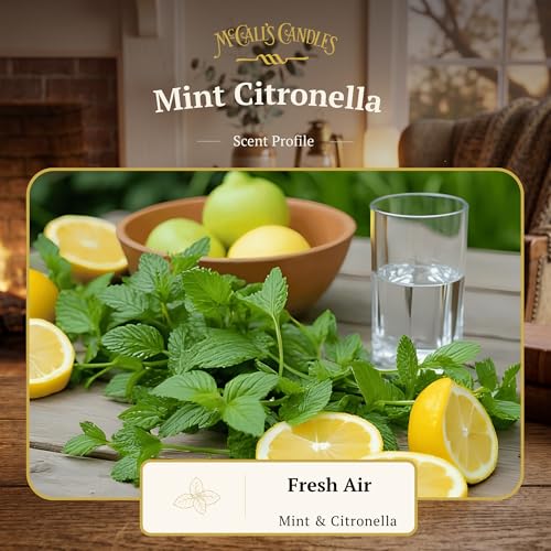 Image of McCall's Candles | Mint Citronella | 16 oz Two-Wick Scented Candle | USA-Poured | Vintage Mason Jar with Carrying Handle | Outdoor Patio Candle with Cool Mint & Peppermint