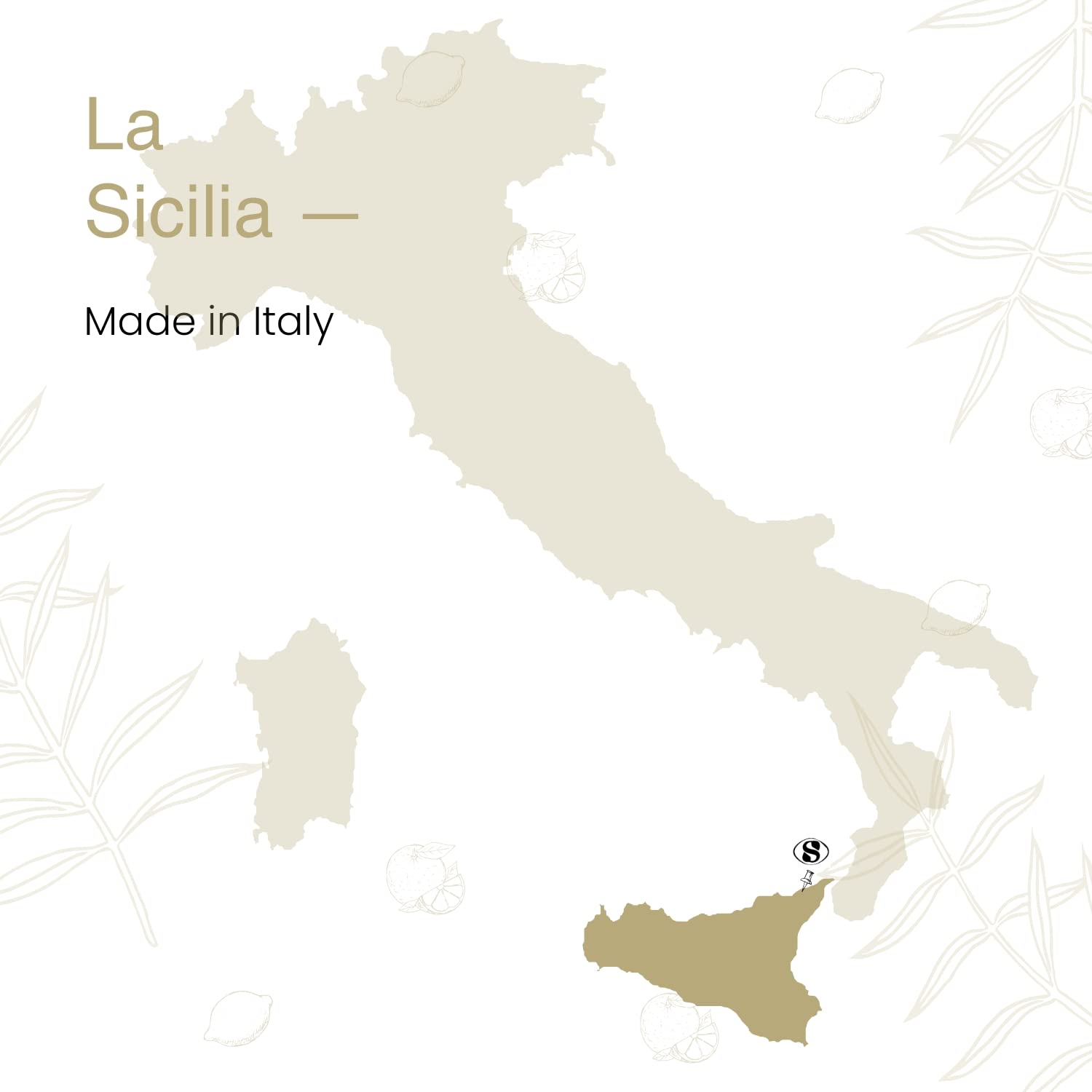 Olio Extravergine di Oliva 100% Siciliano e 100% Biologico, Qualità Biancolilla - Massima Freschezza e Sostenibilità - 1 Latta da 3L