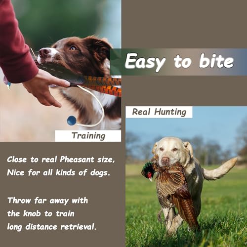 image for fingig 2 Pcs Pheasant Dummy Bumper Toy for Hunting Retriever Dog Train