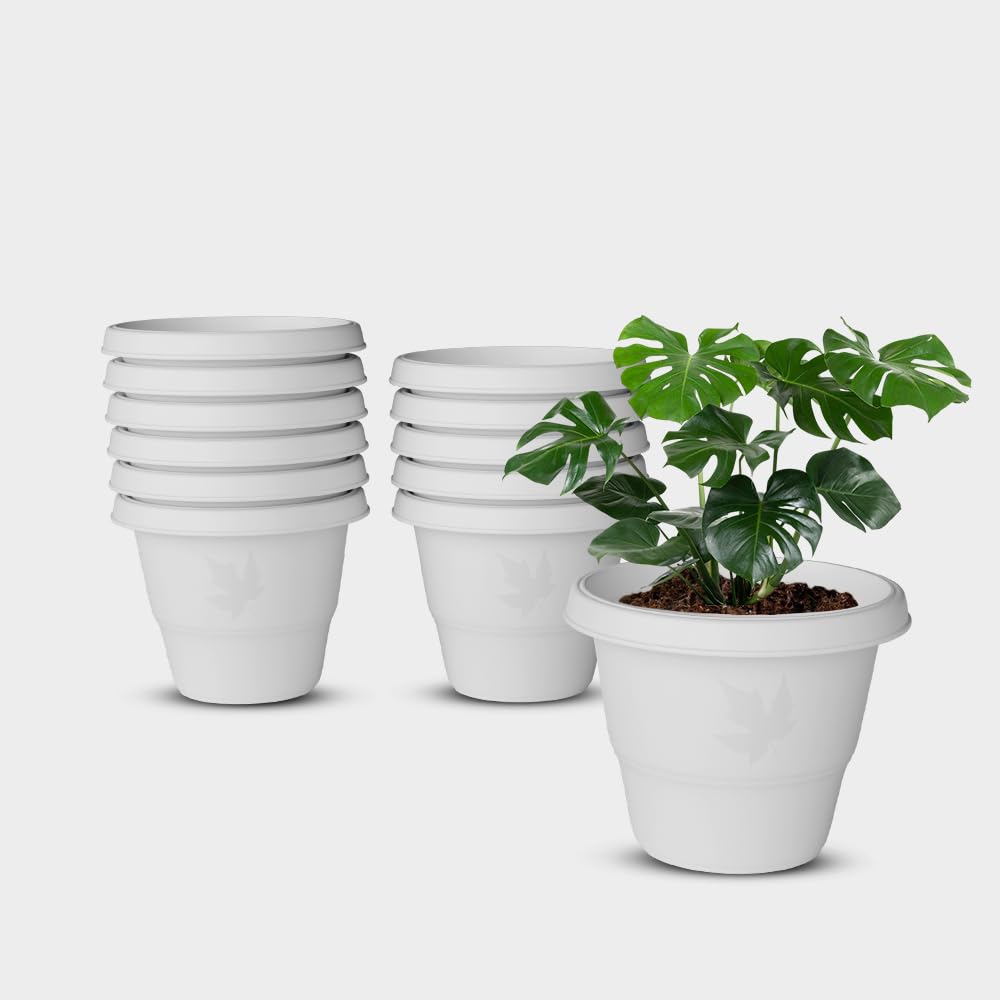 YUCCABE Italia Shera Flower Pots - Set of 3 -7 YUCCABE Italia Shera Flower Pots - Set of 3 -7