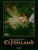 elfenland spielanleitung deutsch  Elfenland