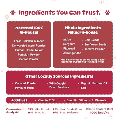 Image of Burpy Tales Dry Dog Food for Puppies - 100GM, Baked Chicken and Meat Kibble for Large & Small Breed Dogs, Real Meat & Fresh Vegetables for Active Nutrition, Kibbles with Zero Artificial Preservatives
