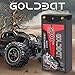 GOLDBAT 5000mAh 2S 7.4V 60C Shorty Hardcase LiPo Battery Pack with 4.0mm Bullet T Connector for RC 1/10 Scale Vehicles Car Trucks Truggy Boat Racing