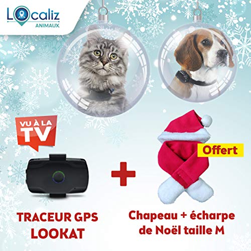 Traceur Gps Pour Chien Comparatif Pour Bien Le Choisir En