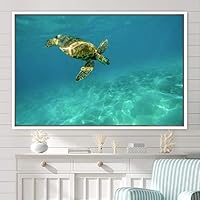 Framed Canvas Wall Art Sea Turtle Colorful Fish Group Marine Life Multicolor Nautical Photography Realism Ultra - 16x24 inches