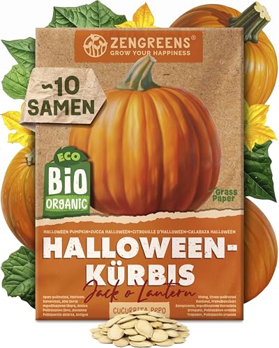ZenGreens - Bio Halloween-Kürbis Samen (Jack oLantern) - Halloween-Kürbissamen - Gemüsesamen für den einfachen Anbau im Garten Balkon oder Hochbeet - Gemüse Saatgut