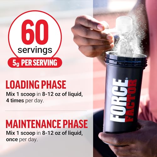 Image of Force Factor Creatine Monohydrate Powder, 5g Micronized Dose to Support Muscle Growth, Strength, Recovery, Cognitive Health & Memory, Unflavored, 60 Servings