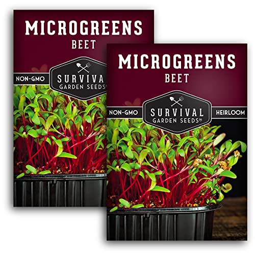 Beet Microgreen Seeds for Sprouting - Non-GMO Heirloom Beet Seeds to Grow Red Microgreens - Indoors or Hydroponic - Fast Growth, Sweet Flavor - Survival Garden Seeds (2 Packs)