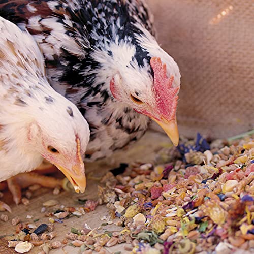 WachtelGold hühnergold Hühner Premium Futter 2x10kg - ohne Gentechnik - mit Kräutern, Gemüse & Grit