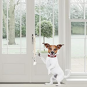 Canine Hanging Doorbells| 4 Additional Loud Canine Potty Coaching Bells| Adjustable Sturdy Braided Rope Door Bell for Canines to Ring to Go Outdoorssilver Small  Cucciolini Doodles Canine hanging doorbells| 4 additional loud canine potty coaching bells| adjustable sturdy braided rope door bell for canines to ring to go outdoorssilver small   cucciolini doodles