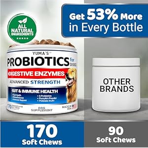 Probiotics for Dogs and Digestive Enzymes - 170 Dog Probiotics Chews - Dog Probiotic - Anti Diarrhea, Upset Stomach & Gas Relief, Constipation, Canine Prebiotic - Pet Fiber Supplement - Gut Health Probiotics for Dogs and Digestive Enzymes – 170 Dog Probiotics Chews – Dog Probiotic – Anti Diarrhea, Upset Stomach & Gas Relief, Constipation, Canine Prebiotic – Pet Fiber Supplement – Gut Health