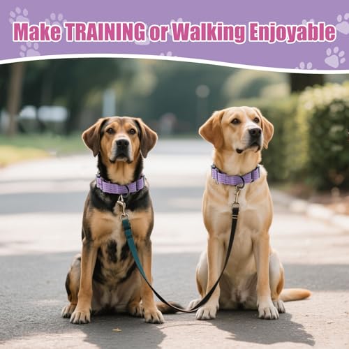 Image of Martingale Dog Collar, Reflective No Pull with Buckle, Lavender, S | Escape Proof without choking ,Training Collar with Quick Release Buckle, Adjustable Heavy Duty Nylon collars for S M L Dogs