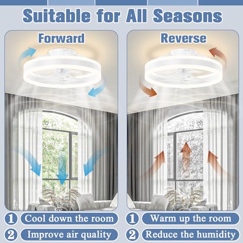 Volisun 1-3-397 Fandelier Ceiling Fans thumb #4