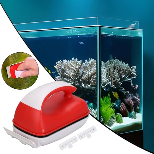 Brosse de nettoyage double face pour aquarium de salon