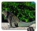 Produktbild KOMODO DRAGON Mouse Pad, Mousepad (Reptiles Mouse Pad)