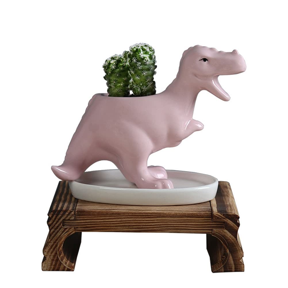 UNNS Doniczki do sadzenia 1 szt. sukulent doniczka w kształcie zwierzęcia dekoracja tyranozaur sukulent doniczka rzemiosło ceramiczne doniczki na rośliny (kolor: błękitny)