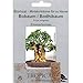 Produktbild Tropica - Bonsai - Bobaum/Bodhibaum (Ficus religiosa) - 200 Samen