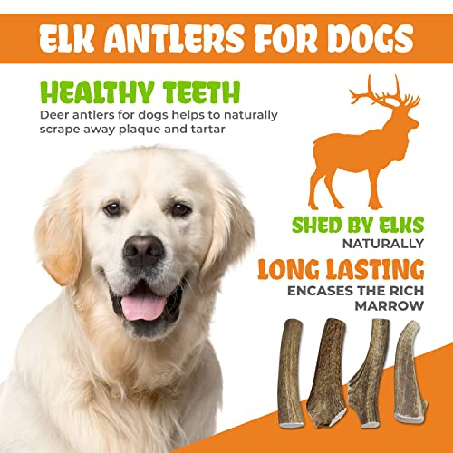 K9Warehouse Bundle – Pig Ear Strips And Whole Large Elk Antler For Dogs (6-9”) – All Natural, Long Lasting, Digestible Dog Treats For Small, Medium And Large Aggressive Chewers #TOP7