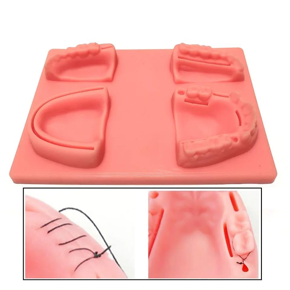 Dental Suture Pad Oral Suture Training Practice Dental kit Dentist Teaching Model