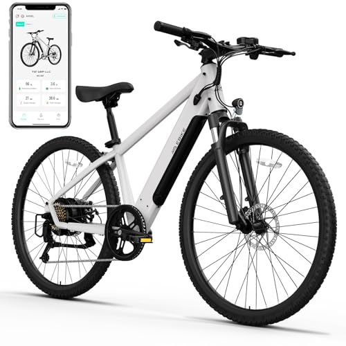 TST Electric Bike - 750W Peak, 28Mph, 40Miles Electric