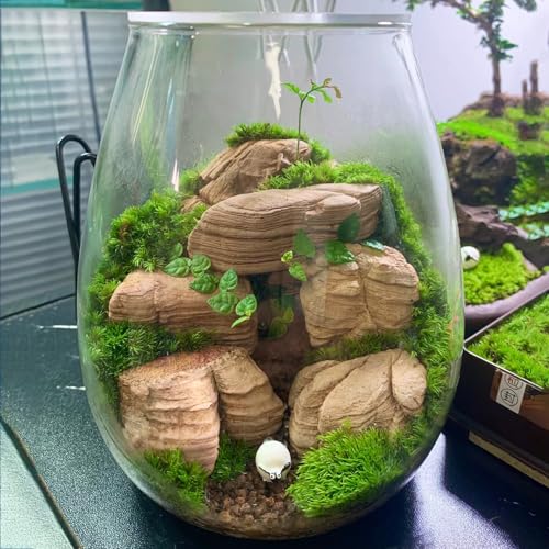 Image of Natural Rocks Pagoda Stones 1-2.5 Inches Decorative Rocks for Fairy Gardens,Miniature Landscaping,Bonsai,DIY Crafts, Aquariums & Reptile Terrariums-2lb