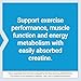 Life Extension Creatine Capsules – Creatine Monohydrate – Promotes Strength, Lean Muscle, Healthy Endurance – Non-GMO, Gluten-Free – 120 Capsules