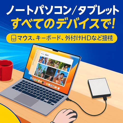 fine-R USB-A to USB-C 変換アダプター AtoC2.0 の商品画像 3