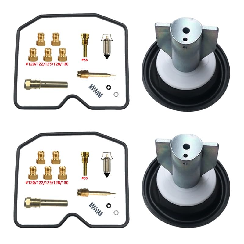 Kit réparation carburateur EN450 contre fuite de cuve et ratés moteur