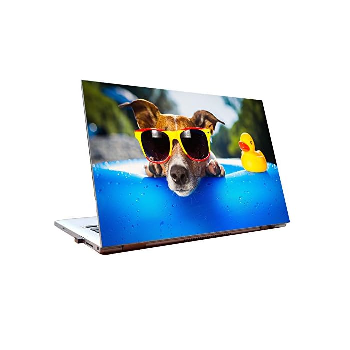 Buy Tamatina Laptop Skins 15.6 inch Mr. Cool Snoop Dogg HD Quality Online at desertcart INDIA