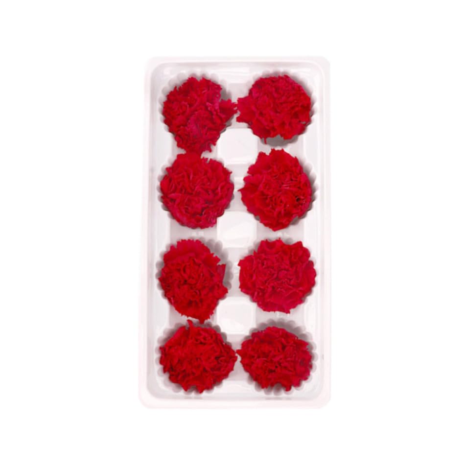 Flores secas decorativas KOCKSHION rojas, 8 claveles de 4-5 cm para crear obsequios románticos