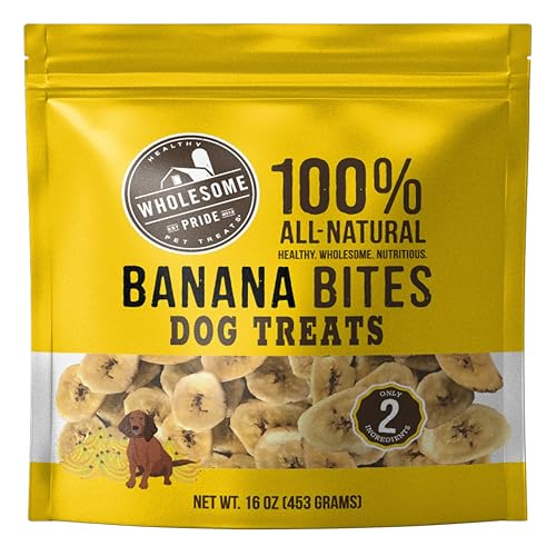 Wholesome Pride Banana Bites Dog Treats 2-Ingredient Banana Chips for Dogs Grain-Free Banana & Coconut Oil 16 oz