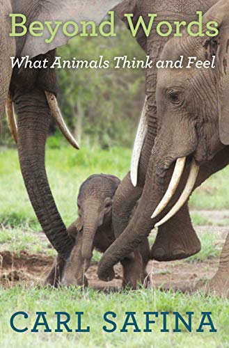 Beyond Words: What Animals Think and Feel Beyond Words: What Animals Think and Feel