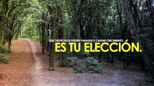 Lo que la amargura estuvo a punto de quitarle