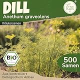 Little Plants BIO Dill Samen 500 Dill Kräutersamen...