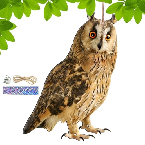 悯 - h JX悯 - p 悯 - 悯u - { tNE u - bQ΍ XY悯΍  ̑ JXpގ hhb΍ ރng XY JX Nh qhȂ 悯ObY  ؉ 