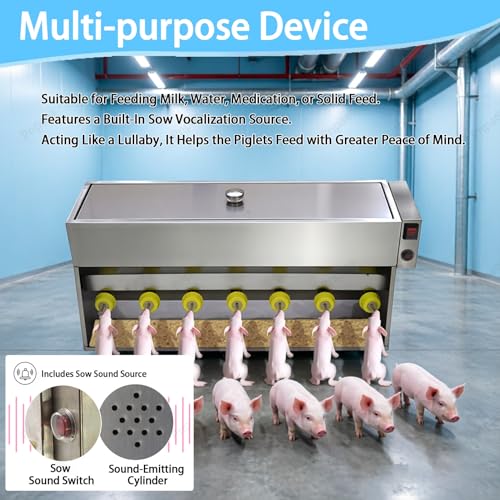 Station alimentation porcelets en acier inoxydable durable pour élevage moderne